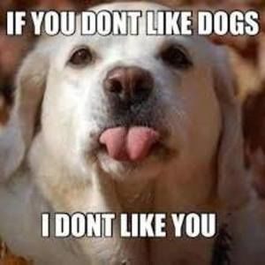 Meet your Posher, Lee